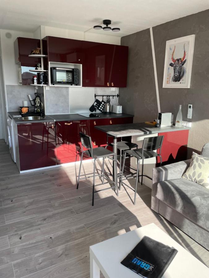 Superbe Studio, Terrasse, Piscine, Parking Ле-Гро-дю-Руа Экстерьер фото